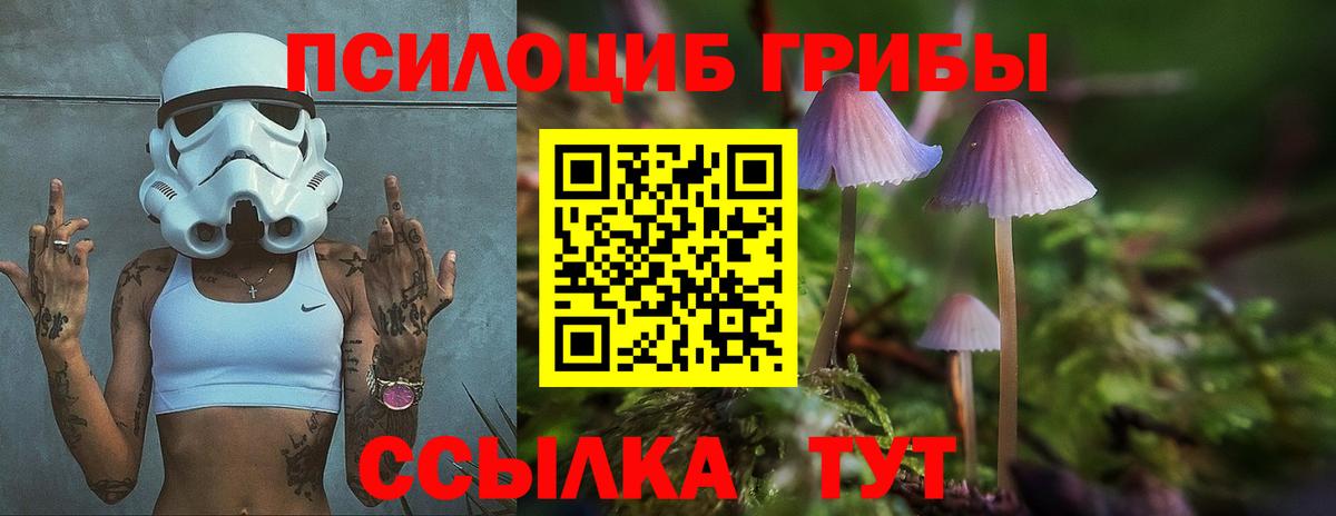 Галлюциногенные грибы MAGIC MUSHROOMS  Вход с VPN  Кольчугино 